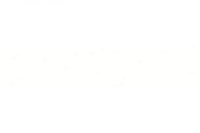 Кромка Матовый Белый P001 0,8х22  Белое Олово EVS012 / Белый Монблан ACM002
