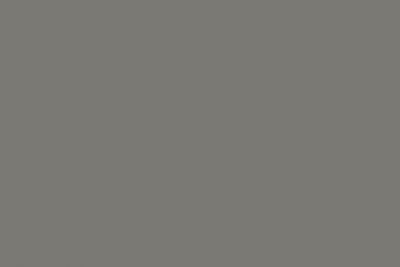 ЛМДФ Evogloss Матовый Серый шторм (Серая буря) P004 2800 х 1220 х 18мм (КАСТАМОНУ)