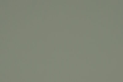 Кромка Матовый Луг зеленый 0,8х22 P016 для плиты Evogloss (150)